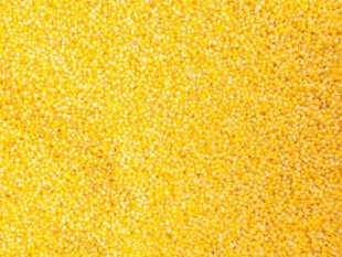 millet seed