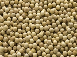 white pepper seed